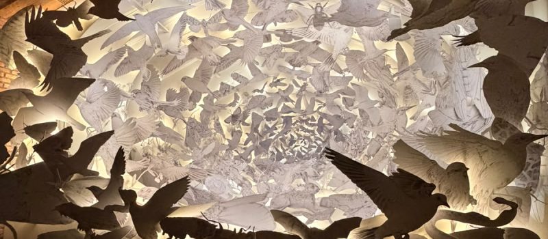 EXPOSIÇÃO IMERSIVA “SOU O OUTRO DO OUTRO” NA CASA BRADESCO